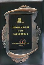 中国带钢辅导品牌 18年度