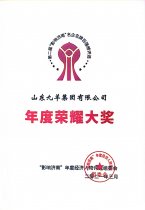 年度庆幸大奖