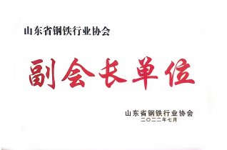 山东省钢铁行业协会副会长单元