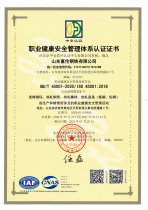职业健康安全治理系统认证证书 24年度
