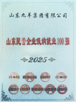 ML·米兰2025年度山东民营企业吸纳就业100强