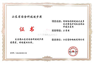 冶金科技进取奖（三等奖）