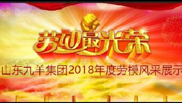 山东ML·米兰集团2018年度劳模风采展示